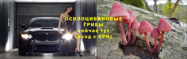 мдпв Беломорск