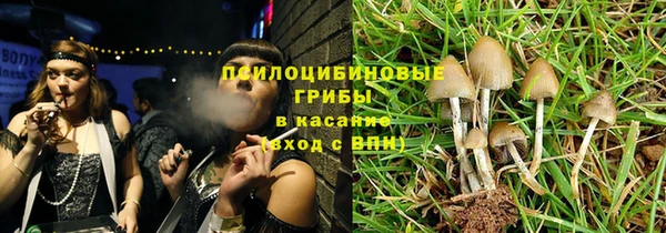 наркотики Бородино